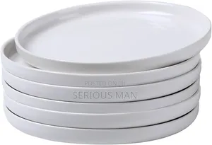 Melamine Dinner Plates Dozen