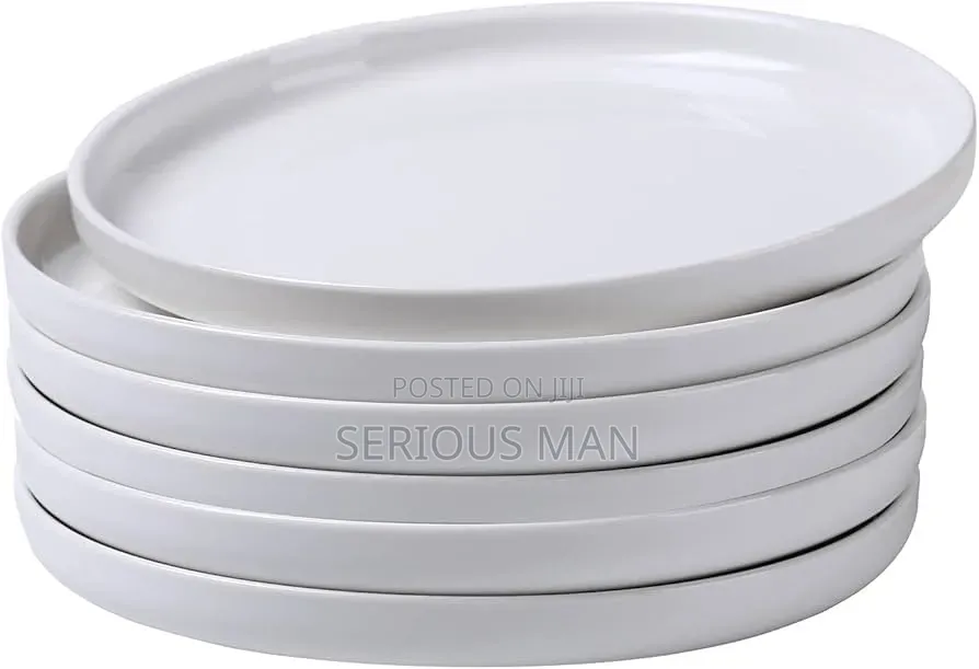 Melamine Dinner Plates Dozen