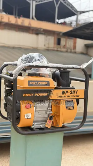 Easy Power Pump Wp30y for Irrigation