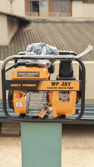 Easy Power Pump Wp30y for Irrigation
