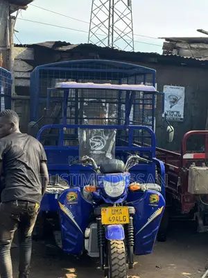 New Tricycle 2025 Blue