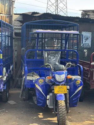 New Tricycle 2025 Blue