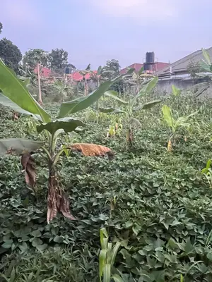 Commercial Plot For Sale – Seguku Katale