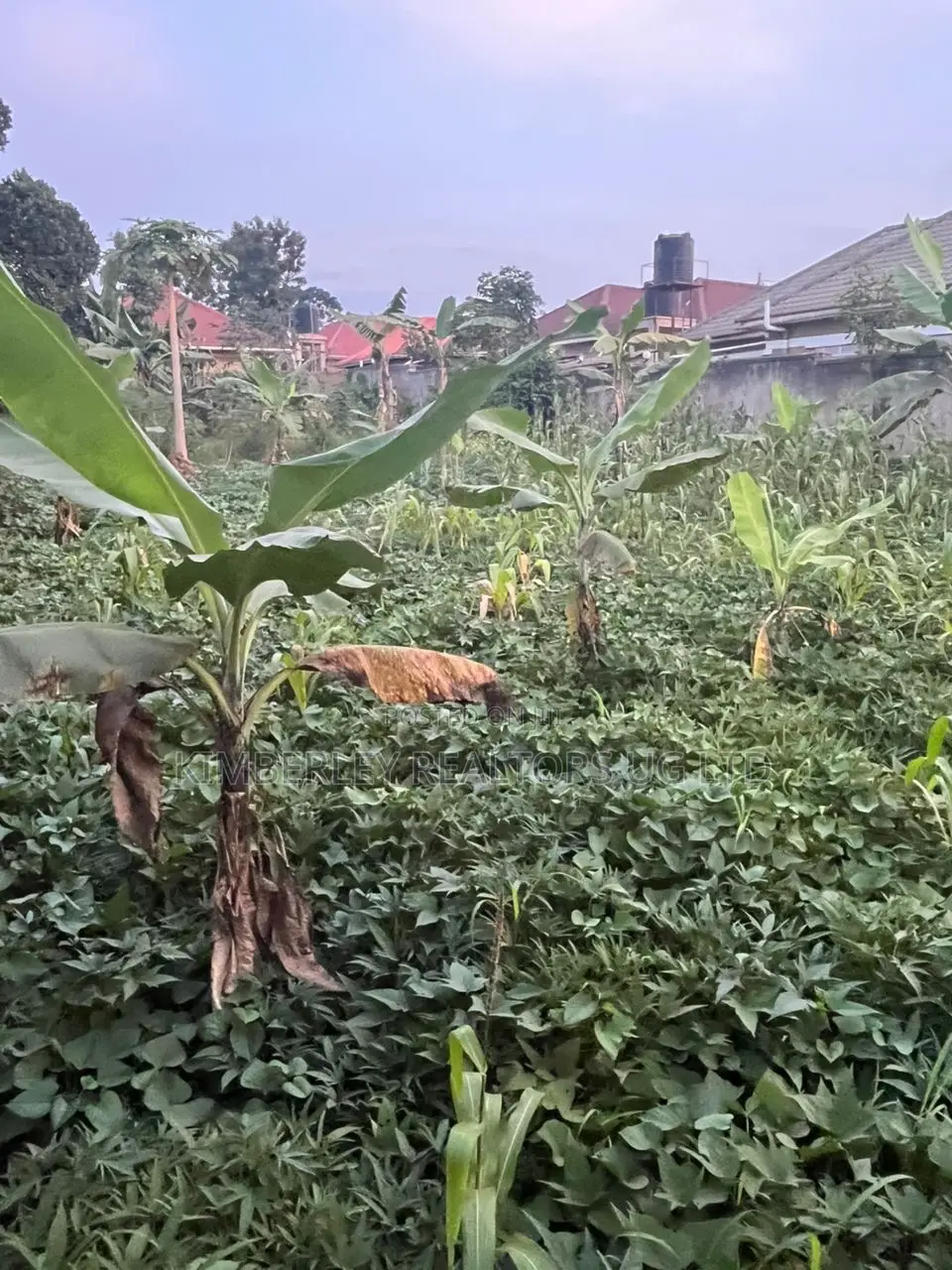 Commercial Plot For Sale – Seguku Katale