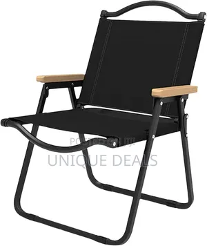 Portable Folding Picnic Chair