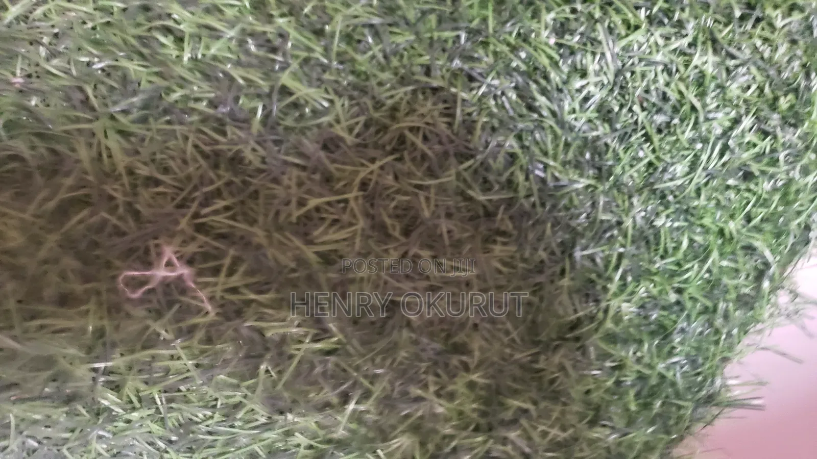 Artificial Grass Carpet 40 Square Meters