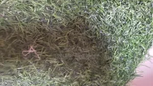Artificial Grass Carpet 40 Square Meters