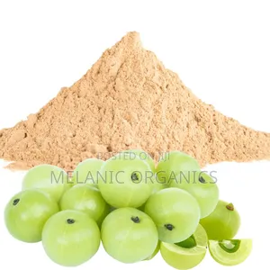 Amla Powder / Indian Gooseberry