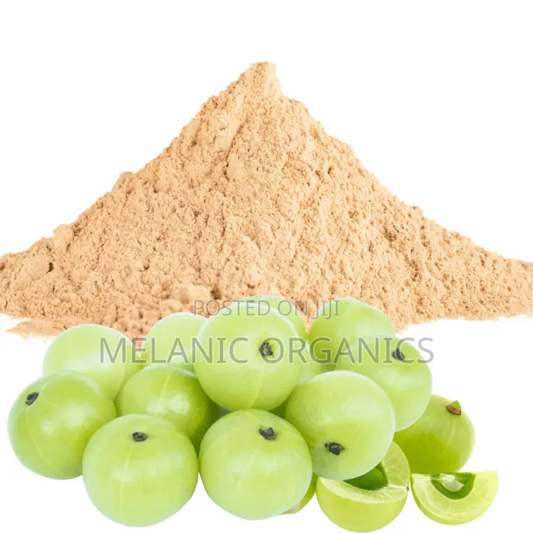 Amla Powder / Indian Gooseberry