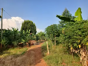 Land Sale at Busiika 0.085 Hectares