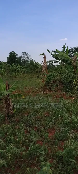 Land For Sell
