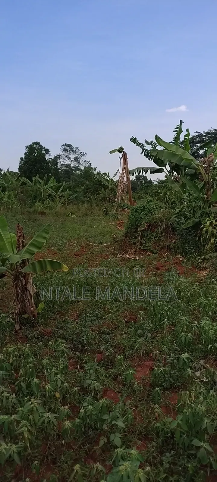 Land For Sell