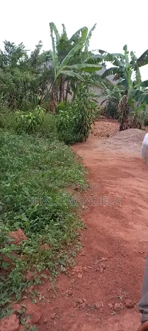 Land For Sell
