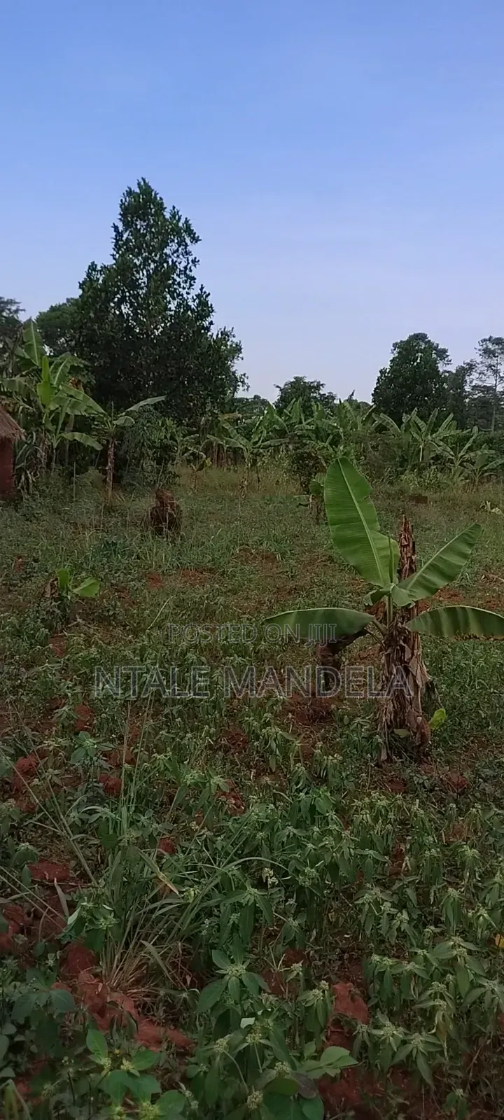 Land For Sell