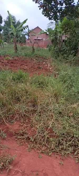 Land For Sell