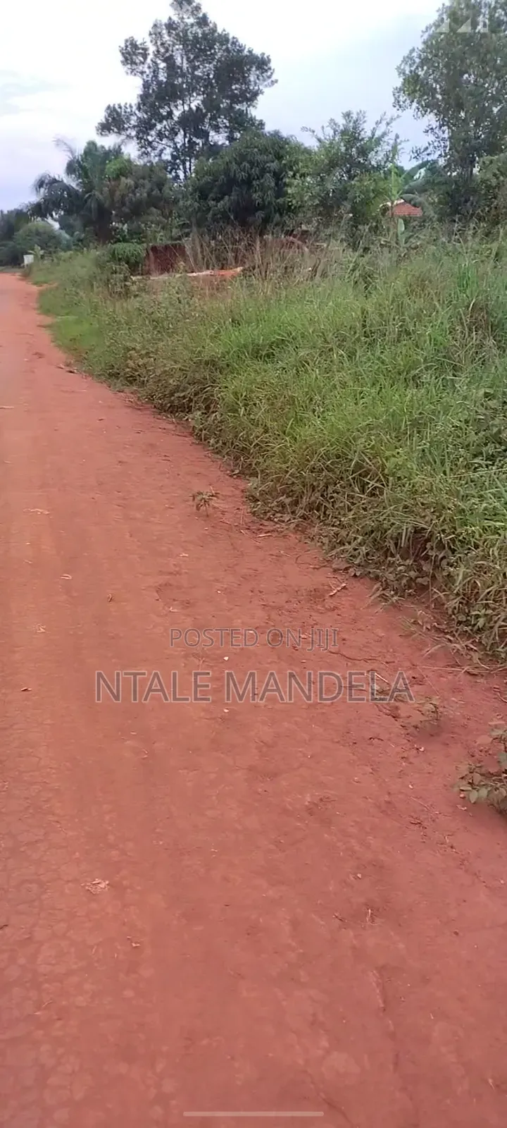 Land For Sell
