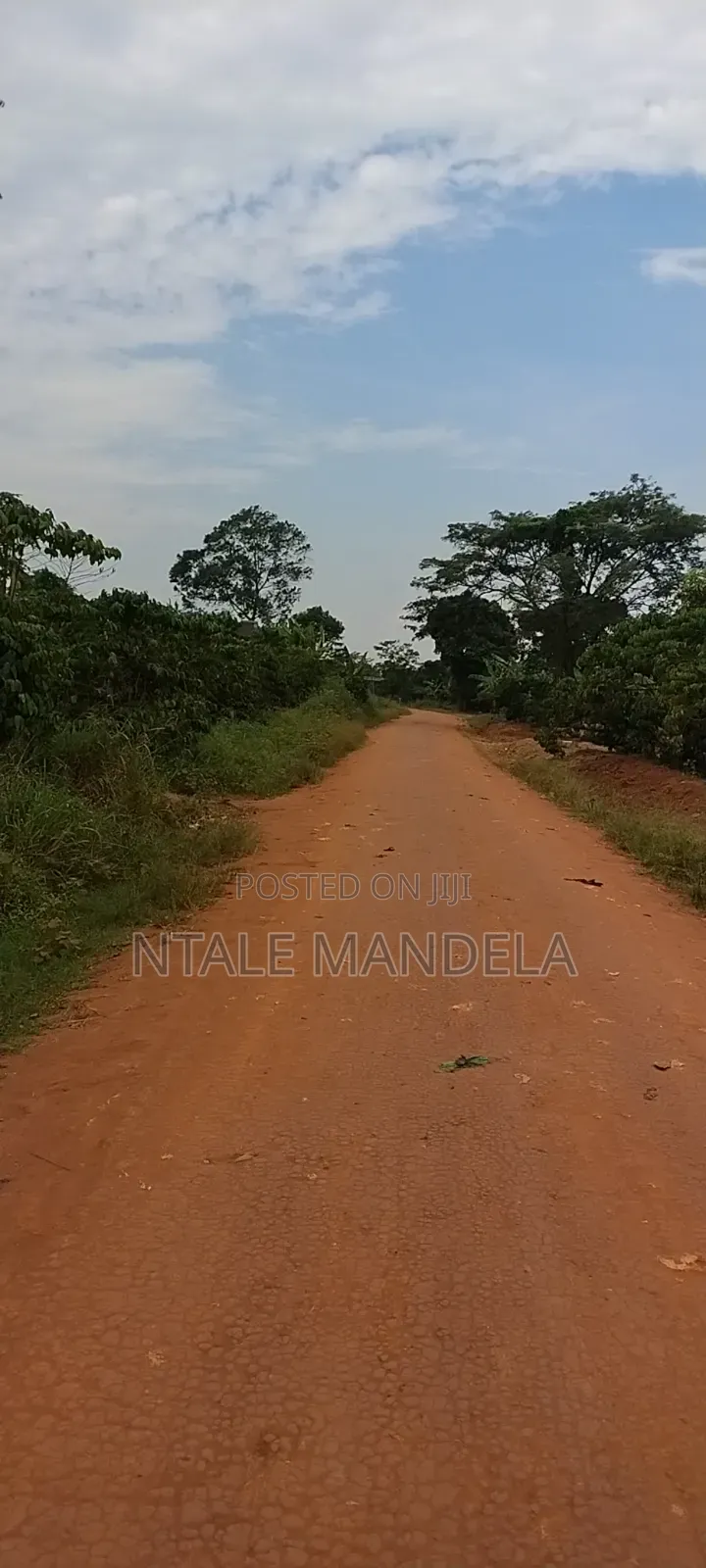 Land For Sell