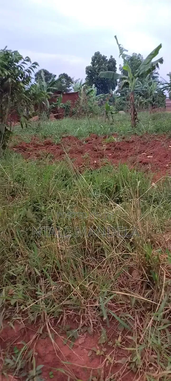 Land For Sell