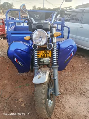 Tricycle 2024 Blue