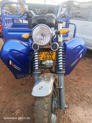 Tricycle 2024 Blue