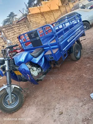 Tricycle 2024 Blue