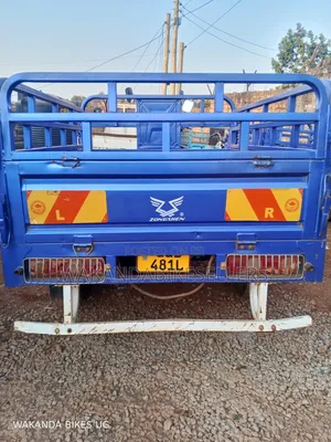 Tricycle 2024 Blue