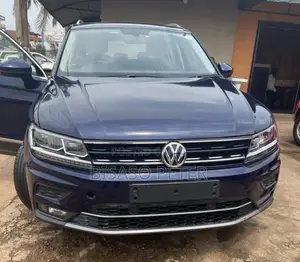 Volkswagen Tiguan 2017 Blue