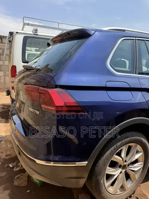Volkswagen Tiguan 2017 Blue