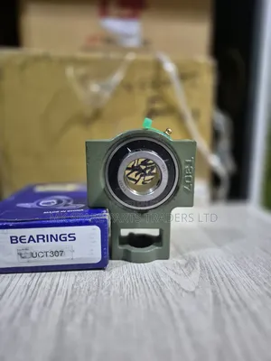 Conveyor Bearings