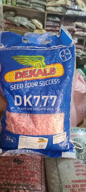 2kg Maize Seeds Dk777(Great Yielder)