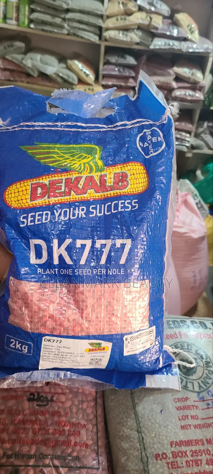 2kg Maize Seeds Dk777(Great Yielder)