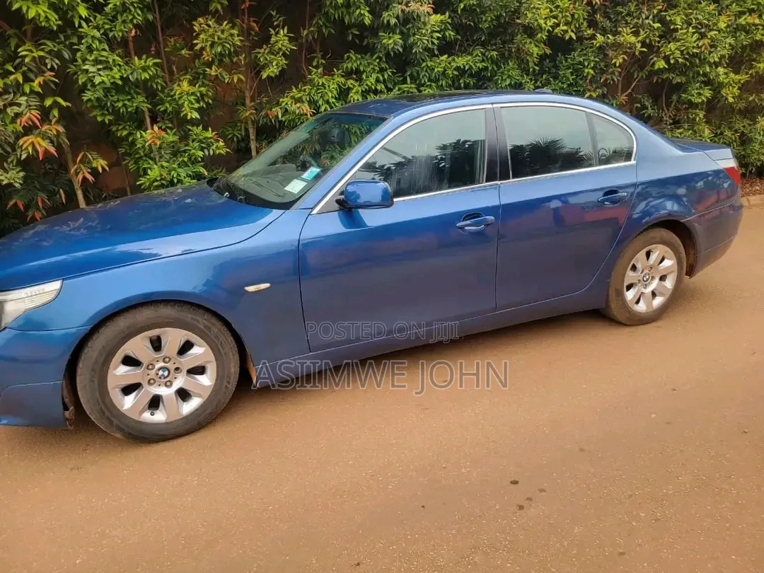 BMW 320i 2006 Blue