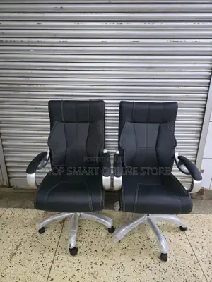 Silver Armed Office Chairs Office Chairs 1 PCS