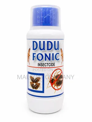 Extinct Bedbugs Colony With Dudu Fonic
