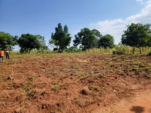 Musita Lugolole Centre Cheap Plots From 5m Onwards