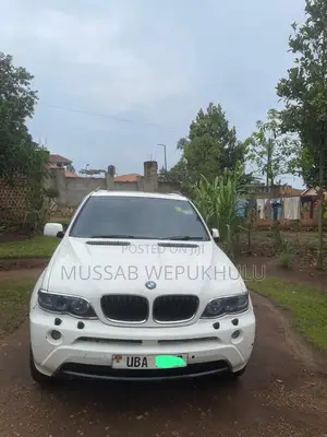 BMW X5 3.0D Sport Automatic 2007 White