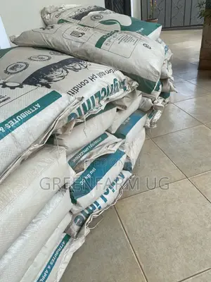 Lime / Agricultural Lime for Farmers