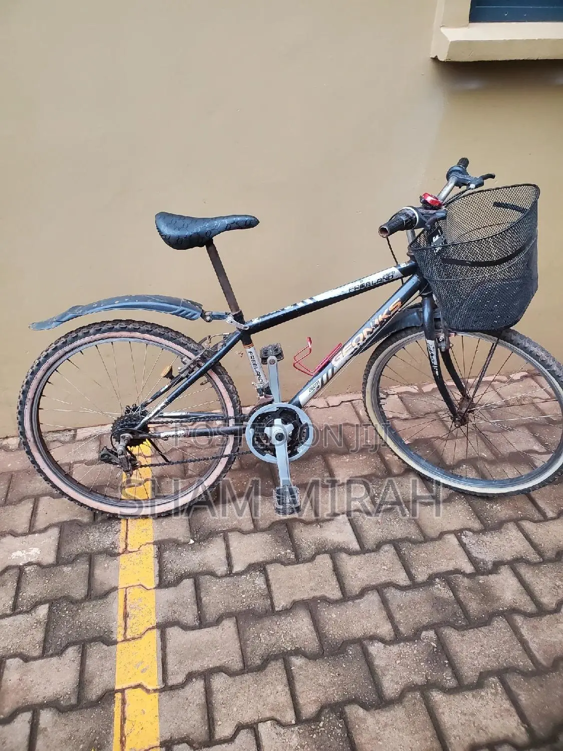 Sport Bicycle