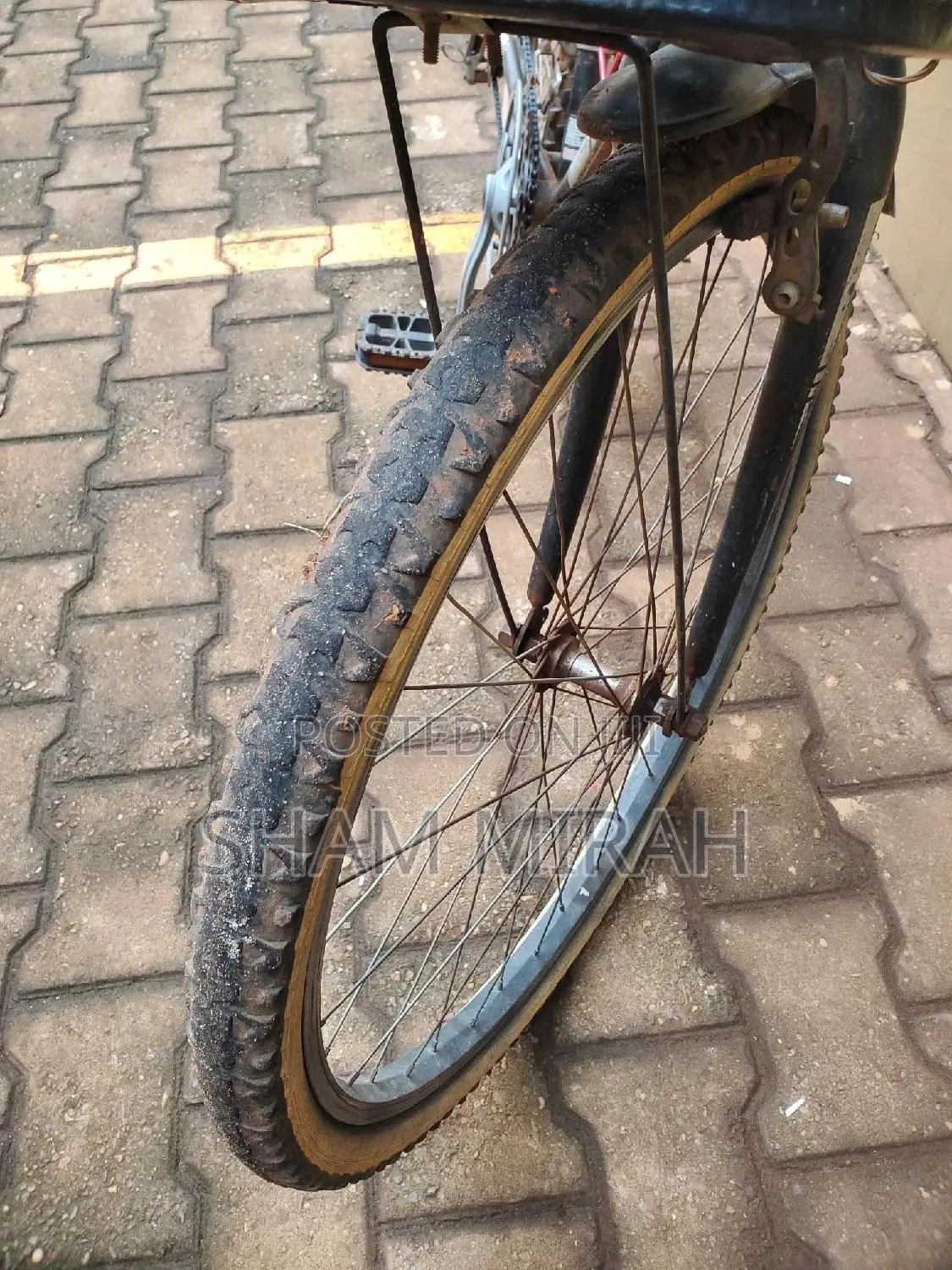 Sport Bicycle