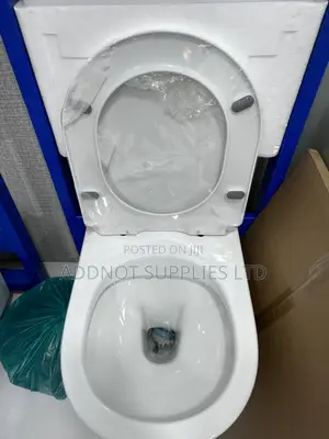 Concealed Toilet Set