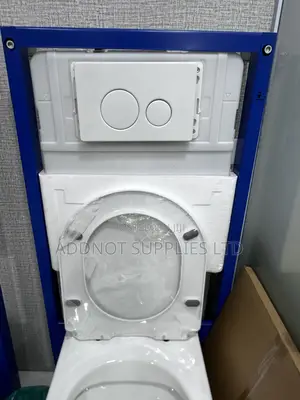 Concealed Toilet Set