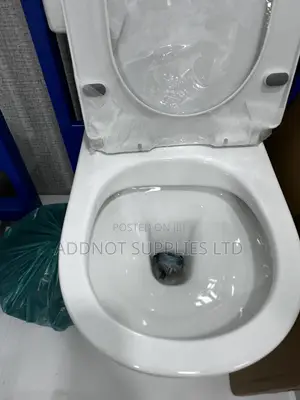 Concealed Toilet Set