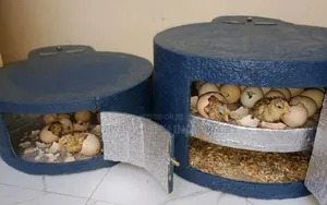 200eggs Electrical Incubator