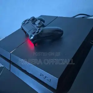 Playstation 4 Standard With 2 Pads and Endless Entertainment
