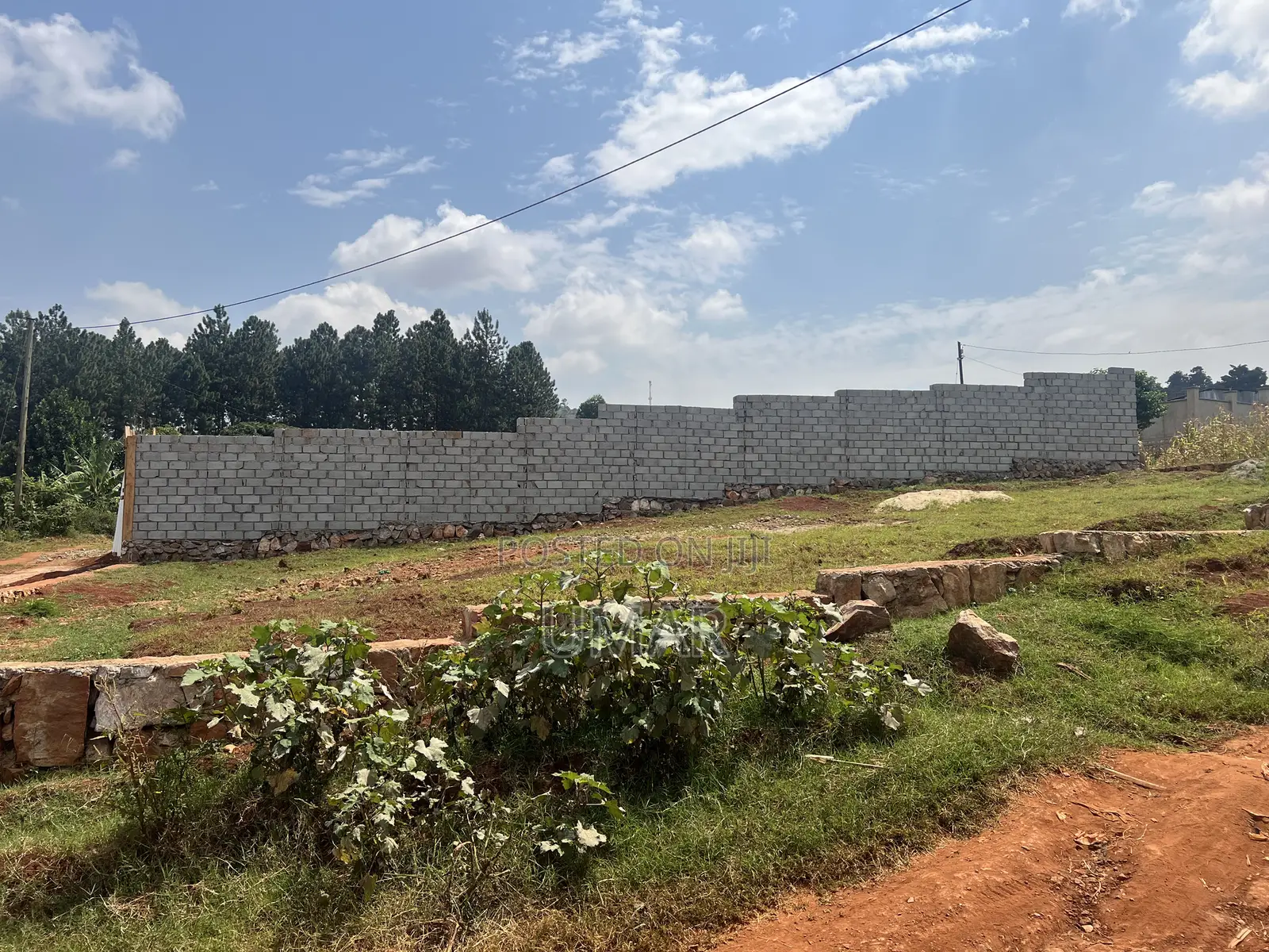 50*50 Plot for Sale in Katale