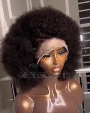 Afro Human Hair Wig