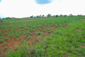 Land for Sale – Kapeeka