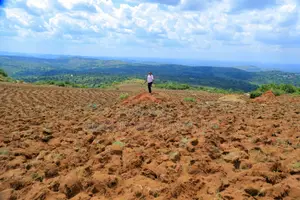  Commercial Land for Sale – Nakasajja