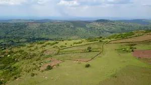  Land for Sale – Bukomero Bulaga (Hoima Road)