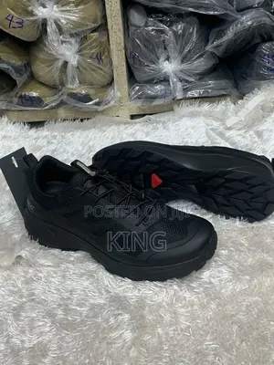 Salomon Outline GTX Hiking Shoes